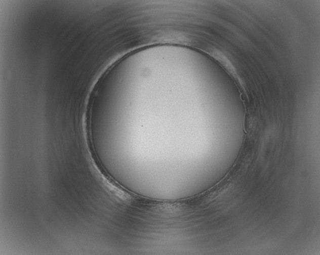 X0000073970947200609051842