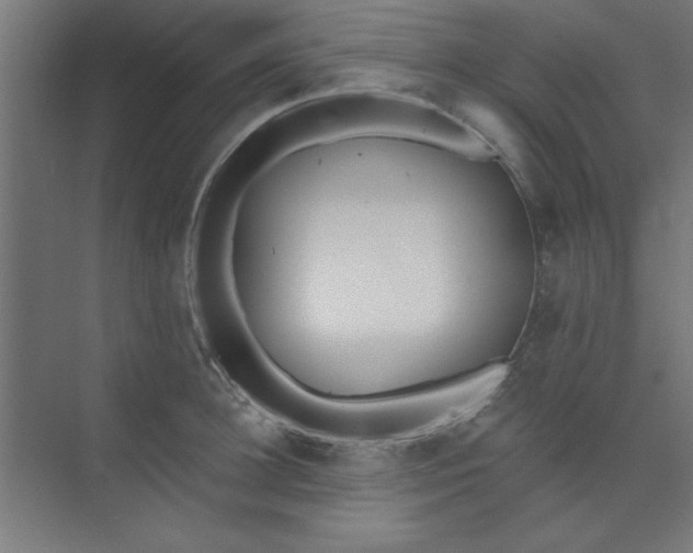 X0000073970948200609051842