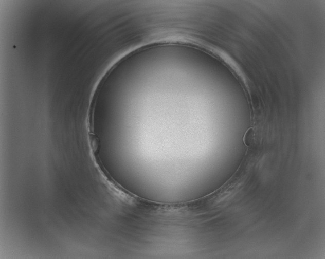 X0000073970951200609051842