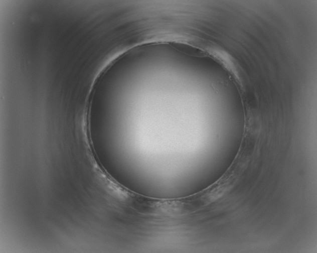 X0000073970952200609051842