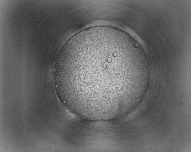 X0000073970953200609051842