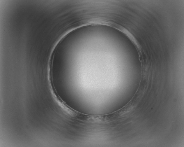 X0000073970955200609051842