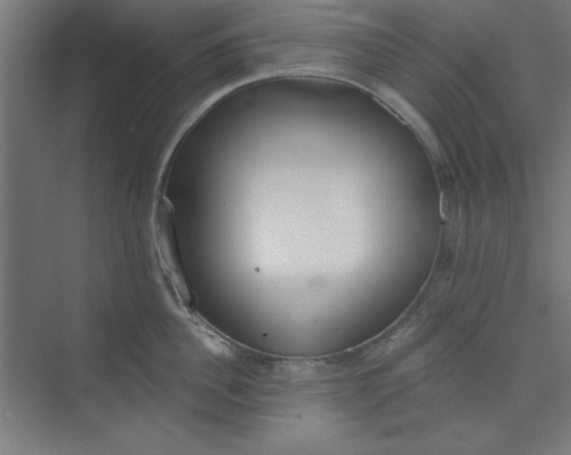 X0000073970956200609051842