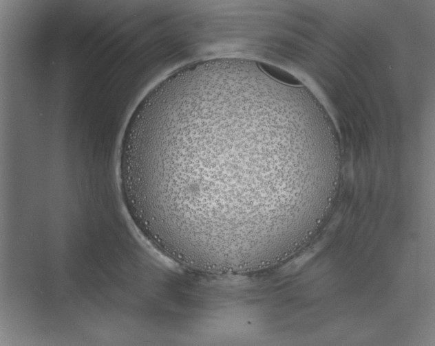 X0000073970957200609051842