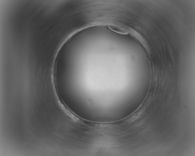 X0000073970958200609051842