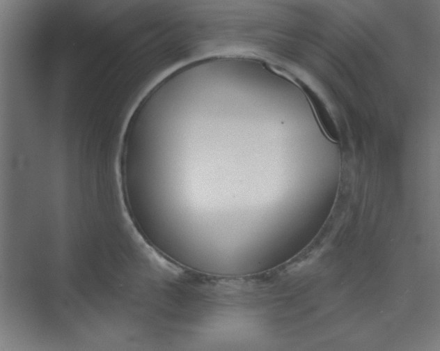 X0000073970959200609051842