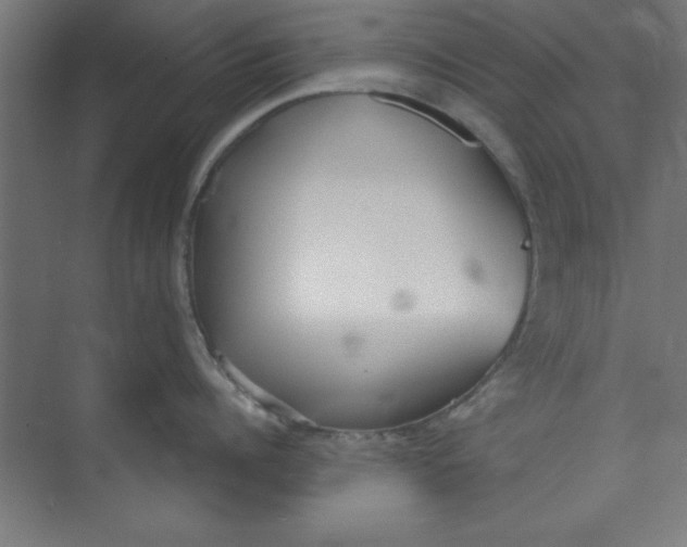 X0000073970960200609051842