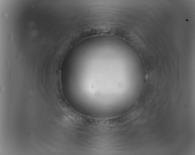 X0000073970961200609051841