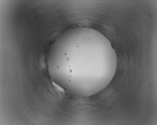 X0000073970962200609051841