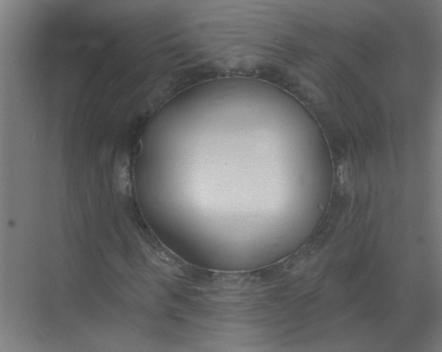 X0000073970963200609051841