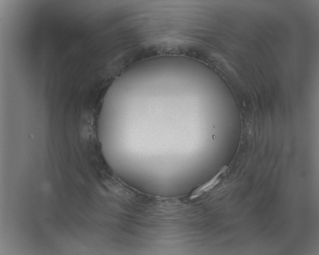 X0000073970964200609051841