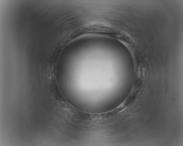 X0000073970965200609051841