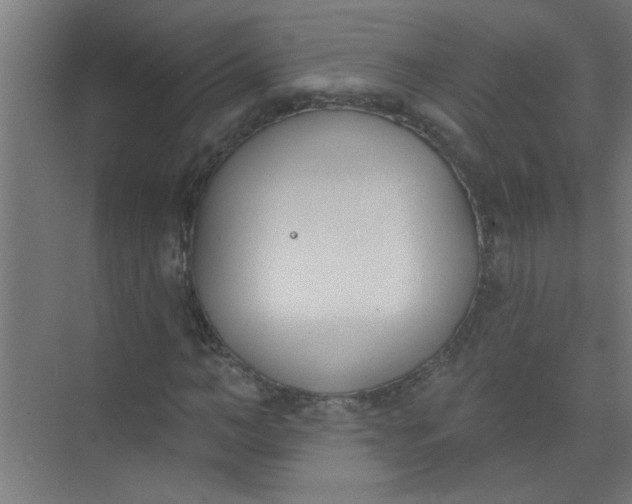 X0000073970966200609051841