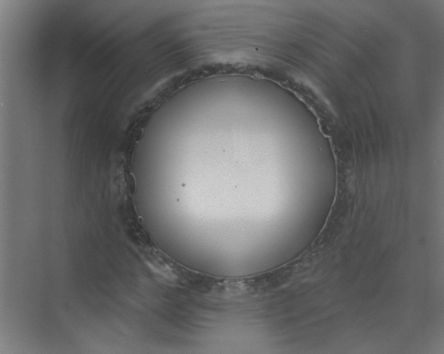 X0000073970968200609051841