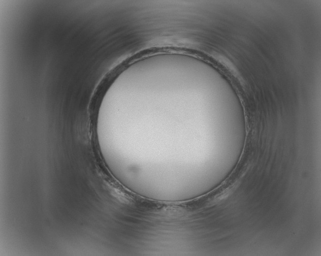 X0000073970974200609051841