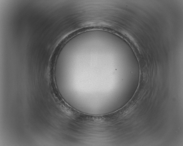 X0000073970975200609051841