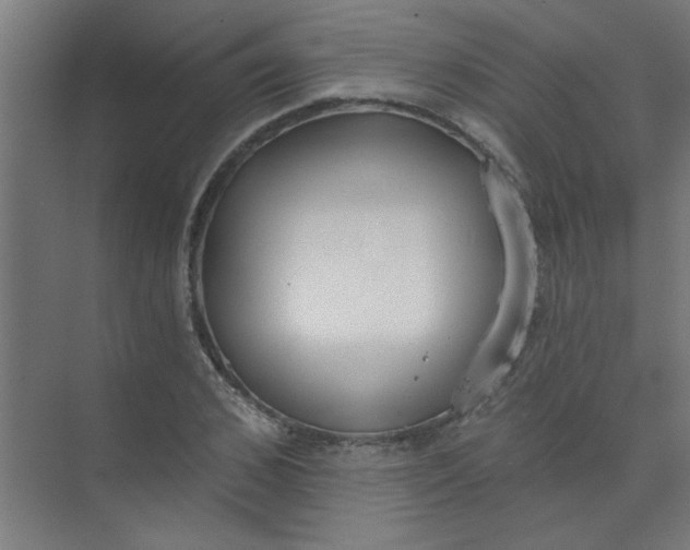 X0000073970976200609051841