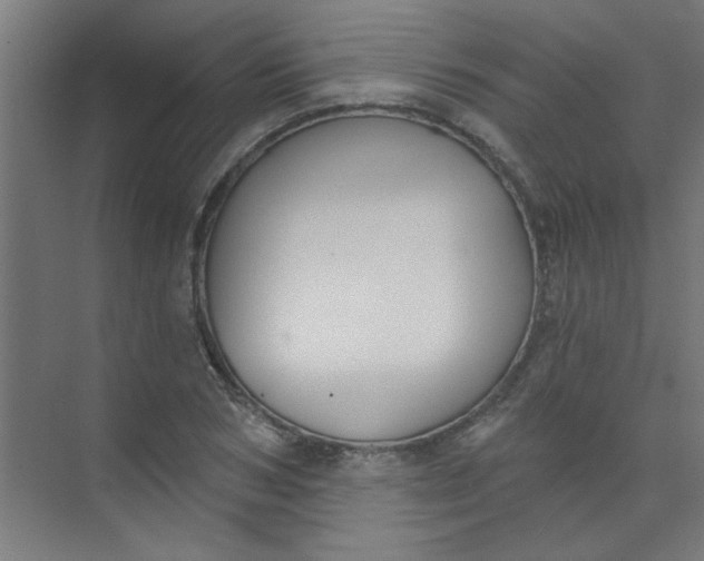 X0000073970978200609051841