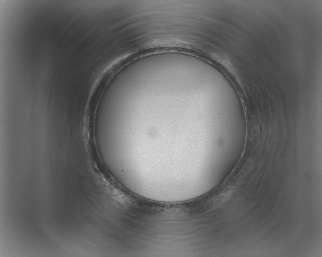 X0000073970979200609051841