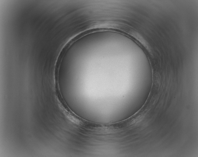 X0000073970980200609051841