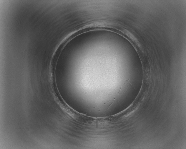 X0000073970981200609051841