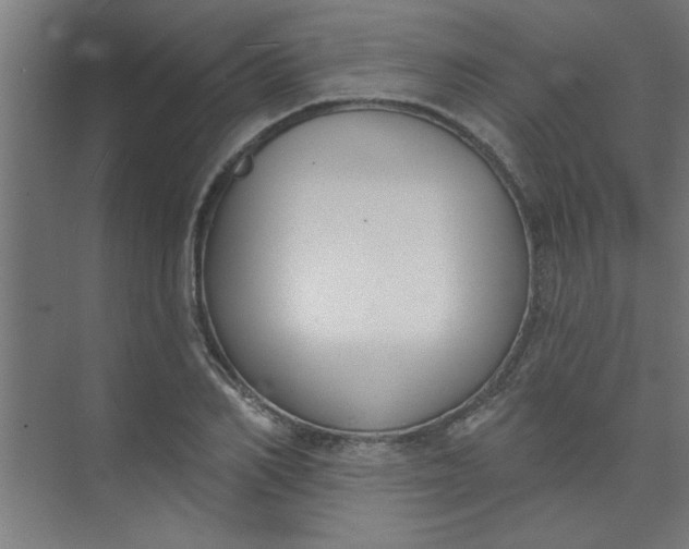 X0000073970982200609051841