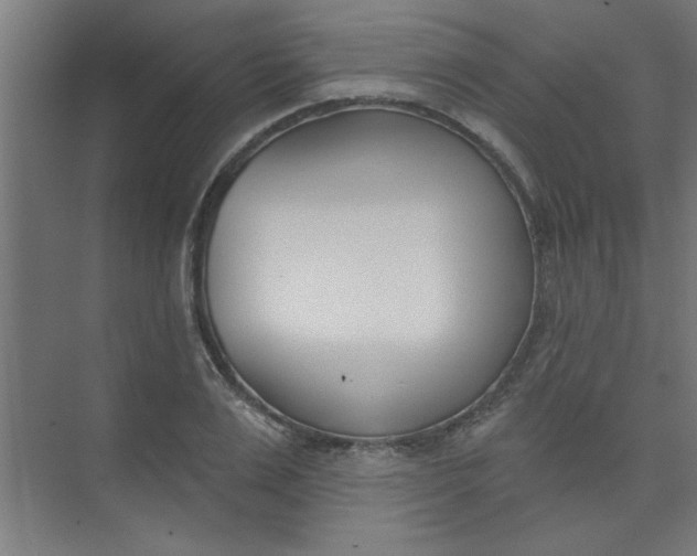 X0000073970983200609051841