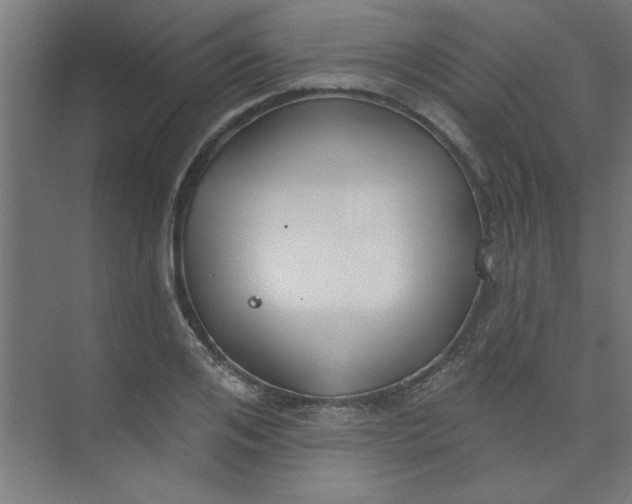 X0000073970984200609051841