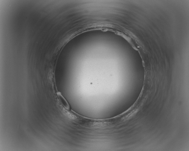 X0000073970985200609051841