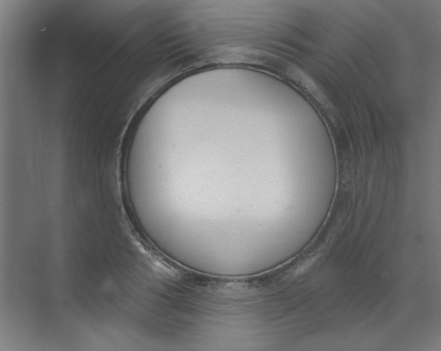 X0000073970986200609051841