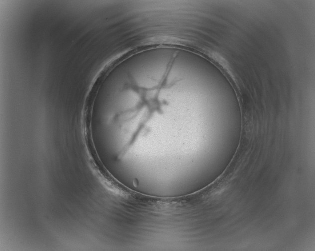 X0000073970987200609051841