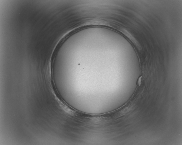 X0000073970988200609051840