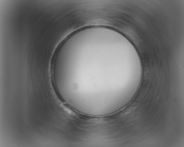 X0000073970990200609051840