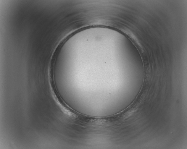 X0000073970991200609051840