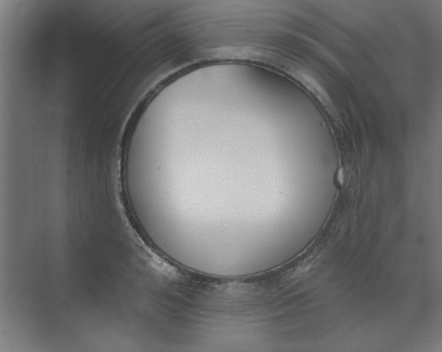 X0000073970992200609051840