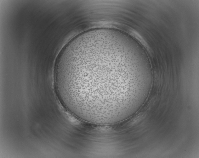 X0000073970994200609051840