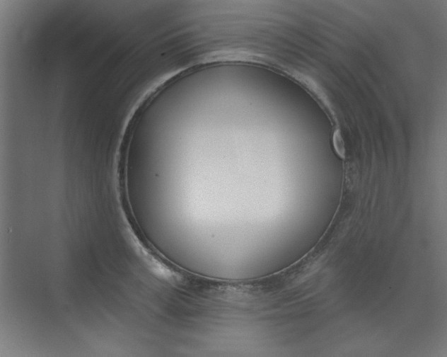 X0000073970995200609051840