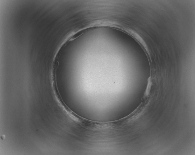 X0000073970997200609051840