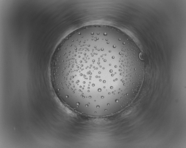 X0000073970998200609051840