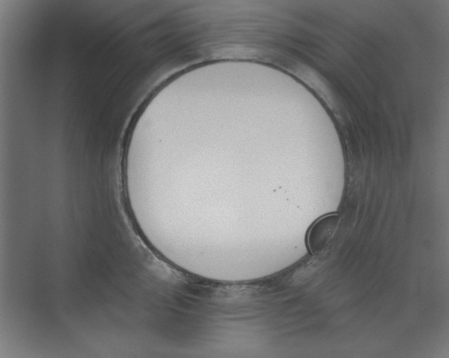 X0000073971000200609051840