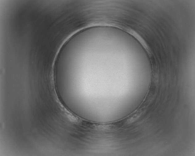 X0000073971004200609051840