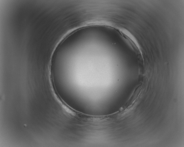 X0000073971005200609051840