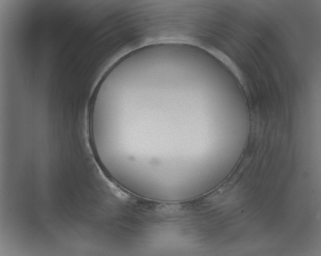 X0000073971006200609051840