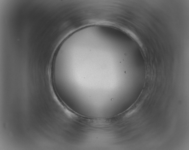 X0000073971007200609051840