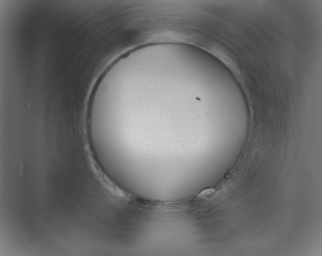 X0000073971008200609051840