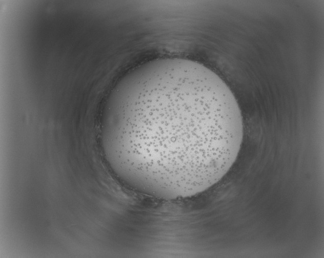 X0000073971009200609051839