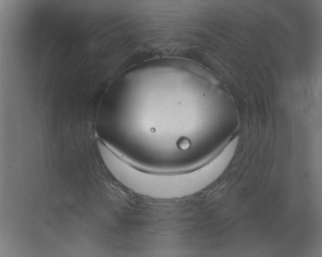 X0000073971010200609051839