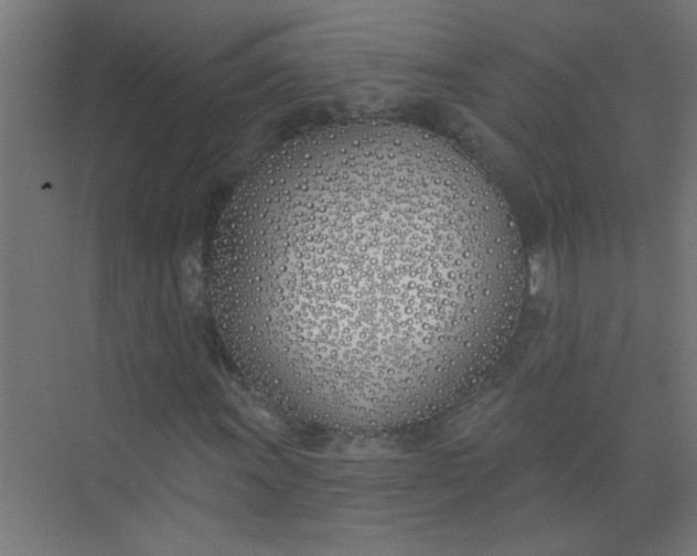 X0000073971011200609051839