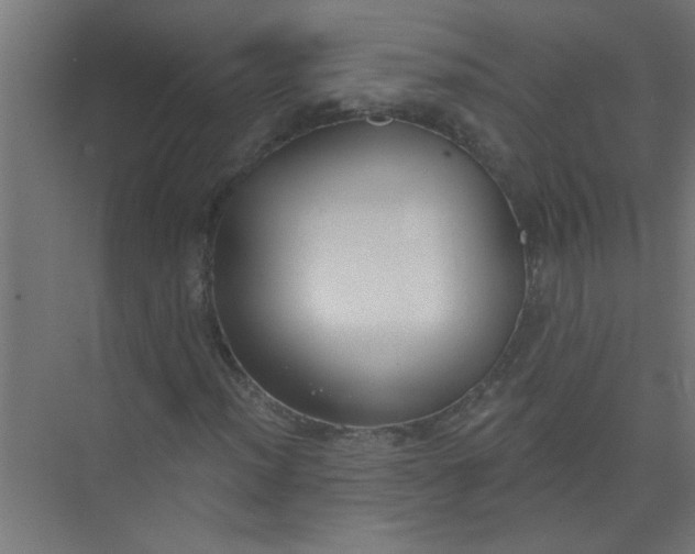 X0000073971012200609051839