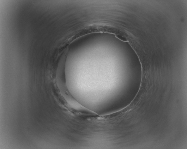 X0000073971014200609051839